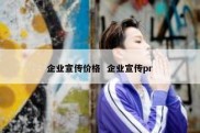 企业宣传价格  企业宣传pr