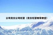 公司竞价公司托管（竞价托管哪家便宜）