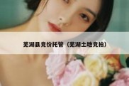 芜湖县竞价托管（芜湖土地竞拍）