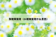 发视频变现（小视频变现什么意思）