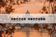 阿里巴巴运营  阿里巴巴运营部