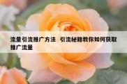 流量引流推广方法  引流秘籍教你如何获取推广流量