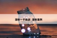 涨粉一千挑战  涨粉案例