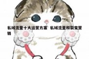 私域流量十大运营方案  私域流量和裂变营销