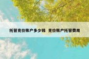 托管竞价账户多少钱  竞价账户托管费用