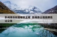 彭州竞价托管哪家正规  彭州市土地挂牌出让公告