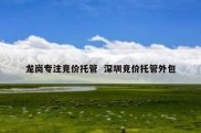 龙岗专注竞价托管  深圳竞价托管外包