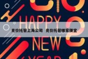 竞价托管上海公司  竞价托管哪家便宜