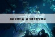 滁州竞价托管  滁州竞价托管公司