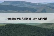 坪山服务好的竞价托管  深圳竞价托管