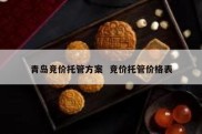 青岛竞价托管方案  竞价托管价格表