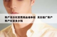 账户竞价托管费用由谁承担  竞价推广账户账户托管多少钱