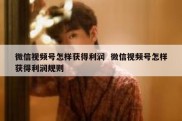 微信视频号怎样获得利润  微信视频号怎样获得利润规则