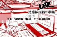 涨粉1000粉丝（粉丝一千万能涨粉吗）