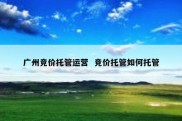 广州竞价托管运营  竞价托管如何托管