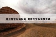 竞价托管服务服务  竞价托管服务多少钱