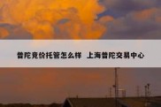 普陀竞价托管怎么样  上海普陀交易中心