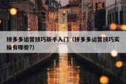 拼多多运营技巧新手入门（拼多多运营技巧实操有哪些?）