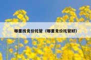 哪里找竞价托管（哪里竞价托管好）