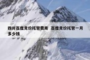 四川百度竞价托管费用  百度竞价托管一月多少钱