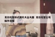 竞价托管样式图片大全大图  竞价托管公司操作流程