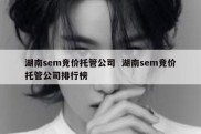 湖南sem竞价托管公司  湖南sem竞价托管公司排行榜