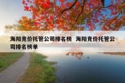 海阳竞价托管公司排名榜  海阳竞价托管公司排名榜单