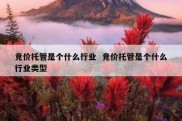 竞价托管是个什么行业  竞价托管是个什么行业类型