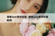 宝安sem竞价托管  宝安sem竞价托管机构
