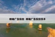 精确广告投放  精确广告投放技术