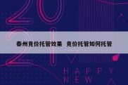泰州竞价托管效果  竞价托管如何托管