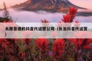 太原靠谱的抖音代运营公司（长治抖音代运营）