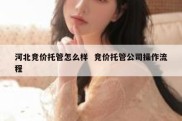 河北竞价托管怎么样  竞价托管公司操作流程