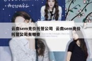 云南sem竞价托管公司  云南sem竞价托管公司有哪些