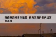 西南五菱抖音代运营  西南五菱抖音代运营怎么样