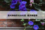 魏大帅推荐竞价托管  魏大帅老师