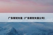 广告策划文案（广告策划文案公司）