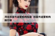 河北抖音代运营机构标语  抖音代运营机构排行榜
