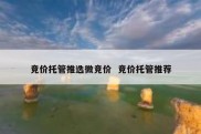 竞价托管推选微竞价  竞价托管推荐