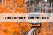 竞价排名推广有哪些  竞价推广是什么意思