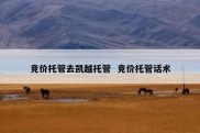 竞价托管去凯越托管  竞价托管话术