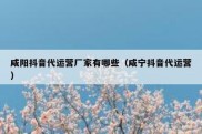 咸阳抖音代运营厂家有哪些（咸宁抖音代运营）
