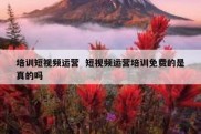 培训短视频运营  短视频运营培训免费的是真的吗