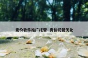 竞价软件推广托管  竞价托管优化