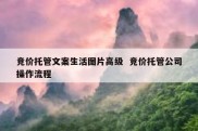 竞价托管文案生活图片高级  竞价托管公司操作流程