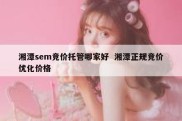 湘潭sem竞价托管哪家好  湘潭正规竞价优化价格