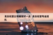 竞价托管公司哪家好一点  竞价托管专业团队