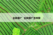 全网推广  全网推广怎样做