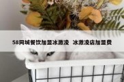58同城餐饮加盟冰激凌  冰激凌店加盟费