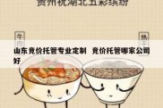 山东竞价托管专业定制  竞价托管哪家公司好